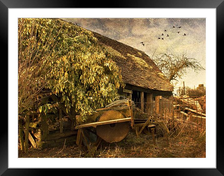 The Woodcutters Cottage Framed Mounted Print by Dawn Cox
