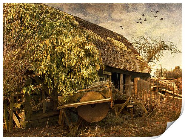 The Woodcutters Cottage Print by Dawn Cox
