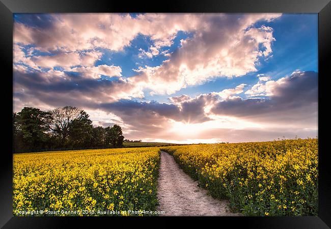 Eynsford Fields Framed Print by Stuart Gennery