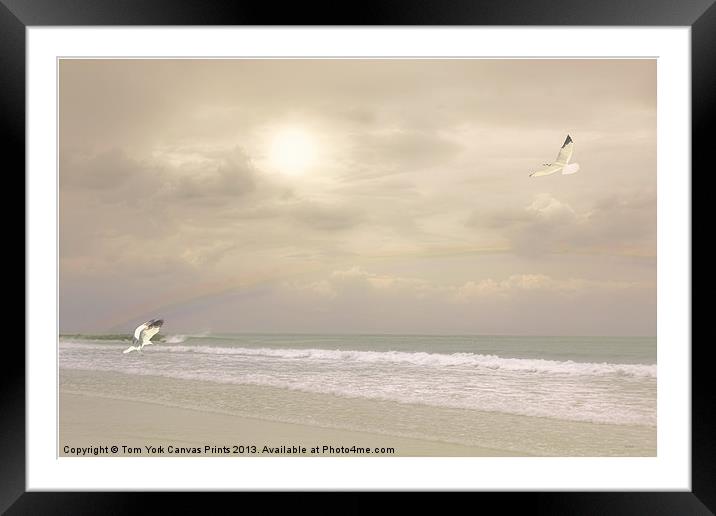 SUMMER SPLENDOR Framed Mounted Print by Tom York