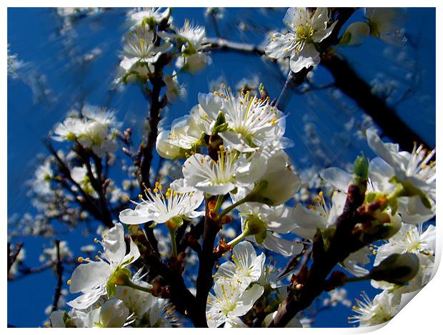 1478-flowers tree Print by elvira ladocki