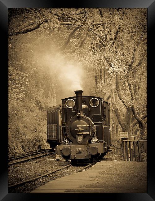 Talyllyn Locomotive Dolgoch, Wales, UK Framed Print by Mark Llewellyn