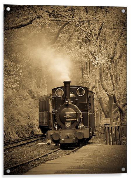 Talyllyn Locomotive Dolgoch, Wales, UK Acrylic by Mark Llewellyn