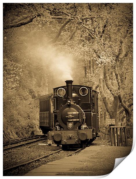 Talyllyn Locomotive Dolgoch, Wales, UK Print by Mark Llewellyn