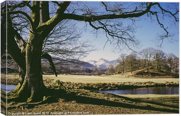 Langdale Pikes. Elterwater. Canvas Print by Liam Grant