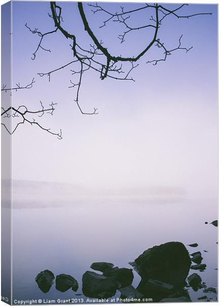 Dawn mist and reflections. Windermere. Canvas Print by Liam Grant