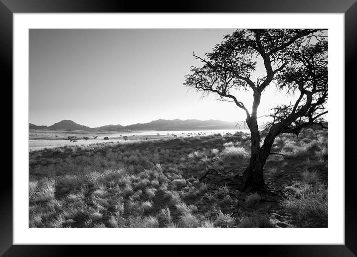 Namibian Trees 8 B&W Framed Mounted Print by Alan Bishop
