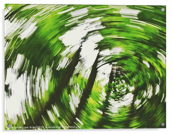 Tree swirl. Norfolk, UK. Acrylic by Liam Grant