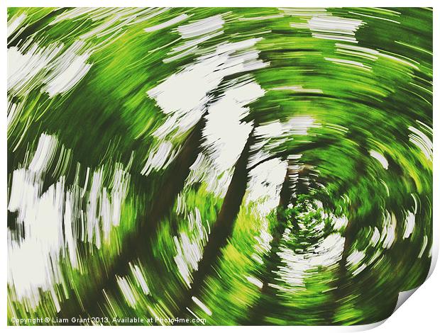 Tree swirl. Norfolk, UK. Print by Liam Grant