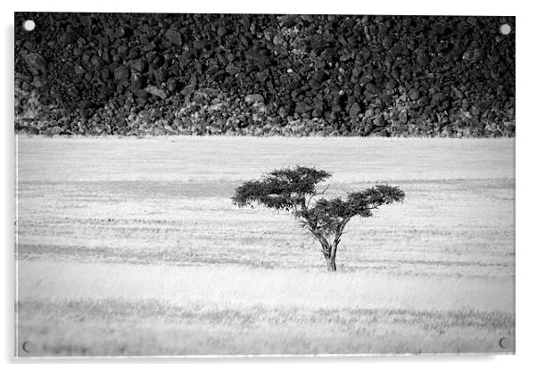 Namibian Trees 7 B&W Acrylic by Alan Bishop