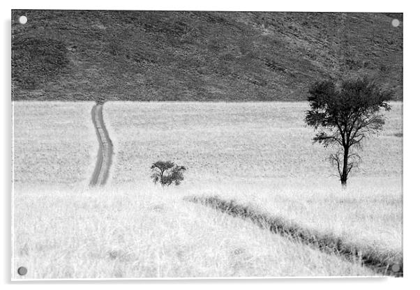 Namibian Trees 4 B&W Acrylic by Alan Bishop