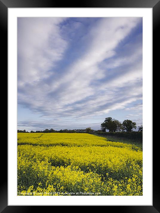 Evening sky over yellow oilseed rape field. Framed Mounted Print by Liam Grant