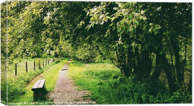 Path and bench beside trees. Norfolk, UK. Canvas Print by Liam Grant