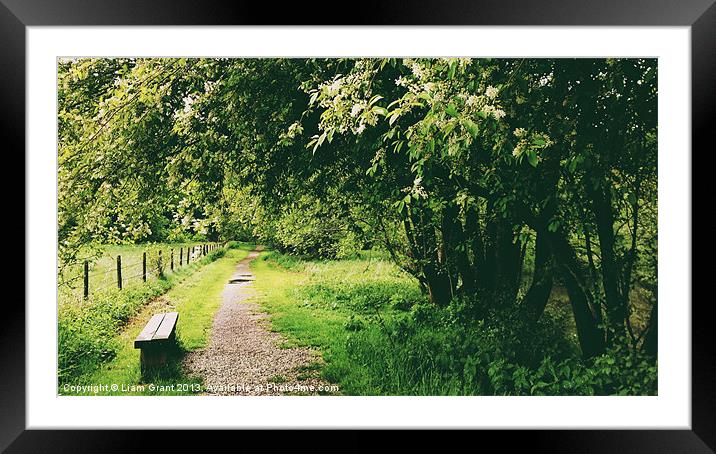 Path and bench beside trees. Norfolk, UK. Framed Mounted Print by Liam Grant