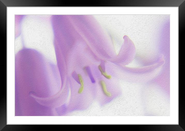 Flower Digital Studio Art Framed Mounted Print by Clive Eariss