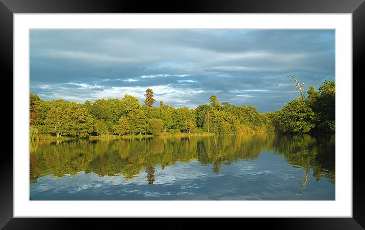 Old Bury Hill Lake Reworked Framed Mounted Print by Clive Eariss
