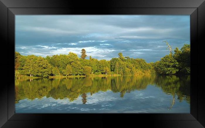 Old Bury Hill Lake Reworked Framed Print by Clive Eariss