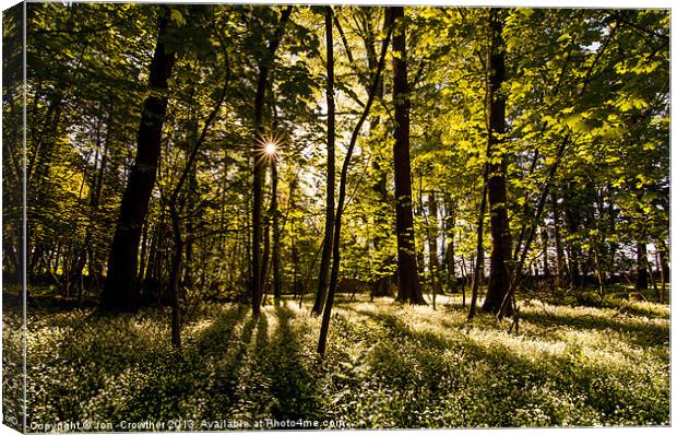 Morning Sun Canvas Print by Jon  Crowther