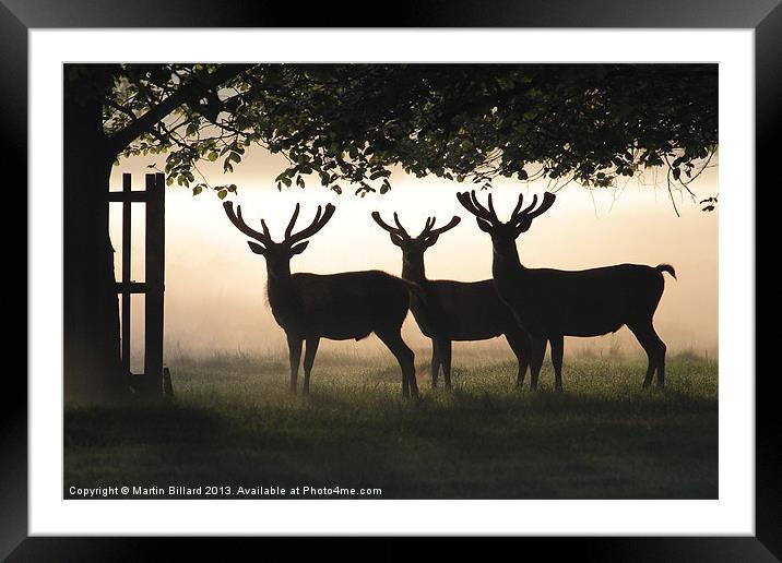 Stags In Silhouette Framed Mounted Print by Martin Billard