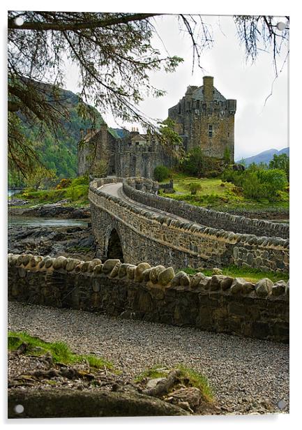 Eilean Donan Castle Scotland Acrylic by Jacqi Elmslie