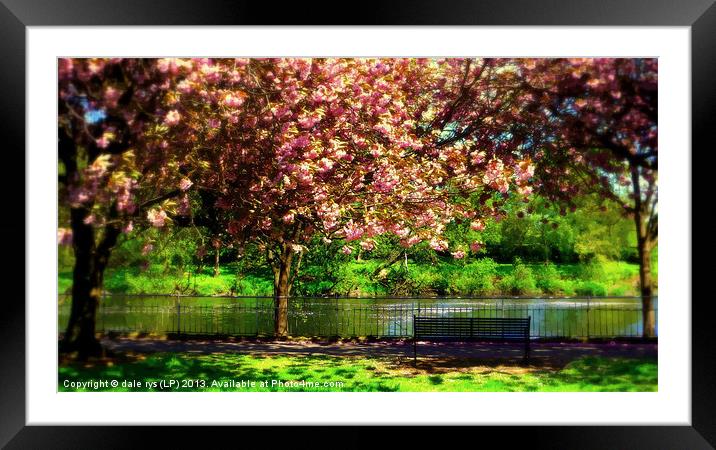 take a load off Framed Mounted Print by dale rys (LP)