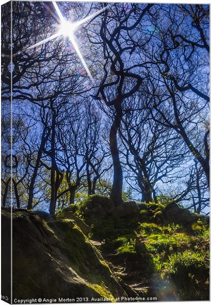 Starring Padley Gorge Canvas Print by Angie Morton