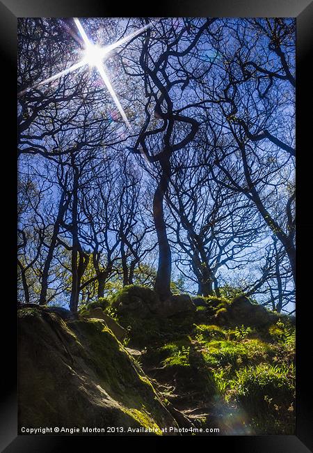 Starring Padley Gorge Framed Print by Angie Morton