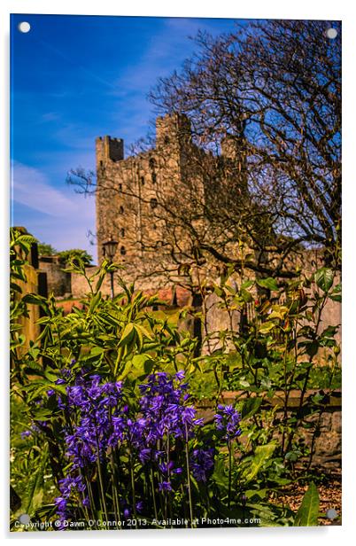 Rochester Castle Acrylic by Dawn O'Connor