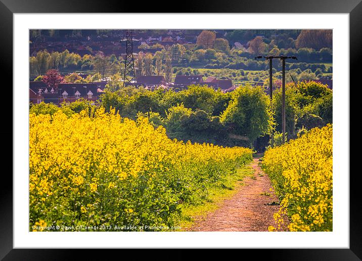 The Yellow Path Framed Mounted Print by Dawn O'Connor