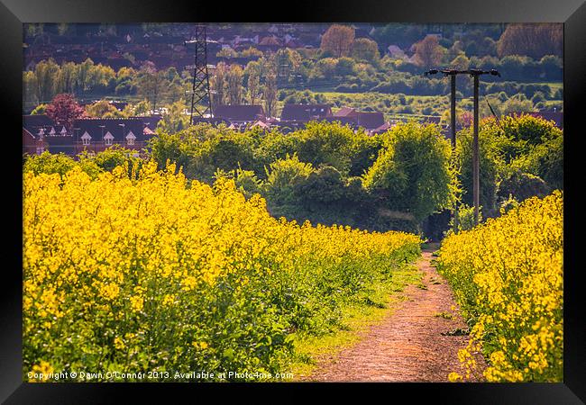 The Yellow Path Framed Print by Dawn O'Connor