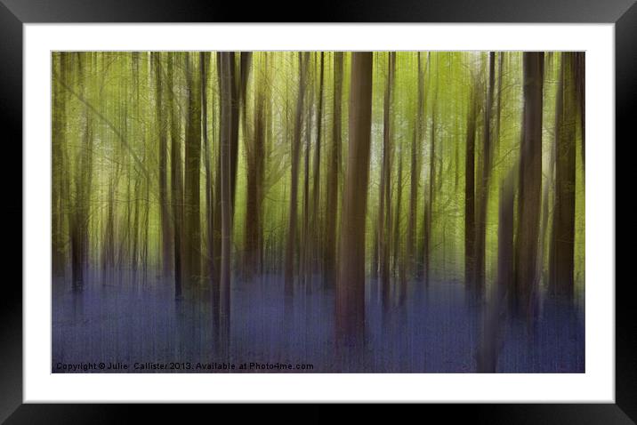 Bluebell Woods Framed Mounted Print by Julie  Chambers