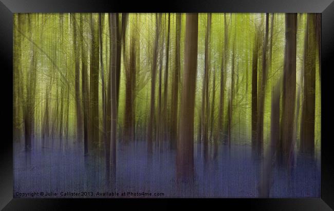 Bluebell Woods Framed Print by Julie  Chambers