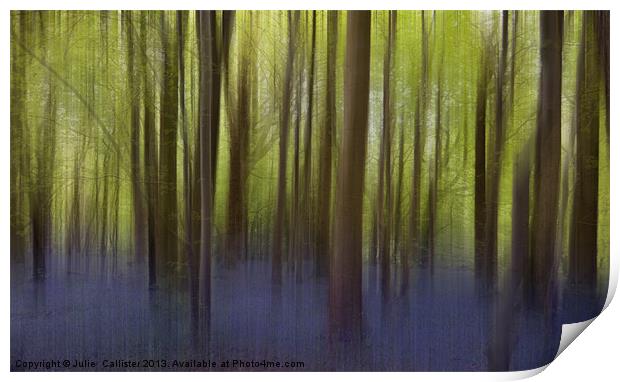 Bluebell Woods Print by Julie  Chambers
