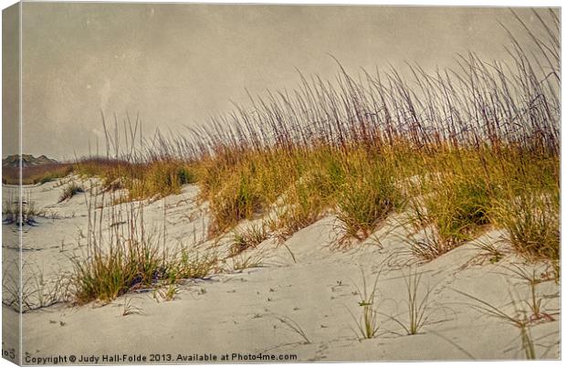 Beach Grass and Sugar Sand Canvas Print by Judy Hall-Folde