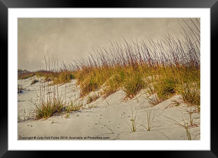 Beach Grass and Sugar Sand Framed Mounted Print by Judy Hall-Folde