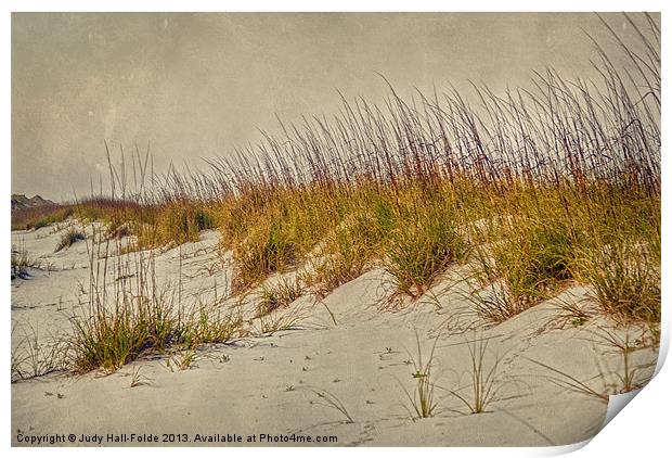 Beach Grass and Sugar Sand Print by Judy Hall-Folde