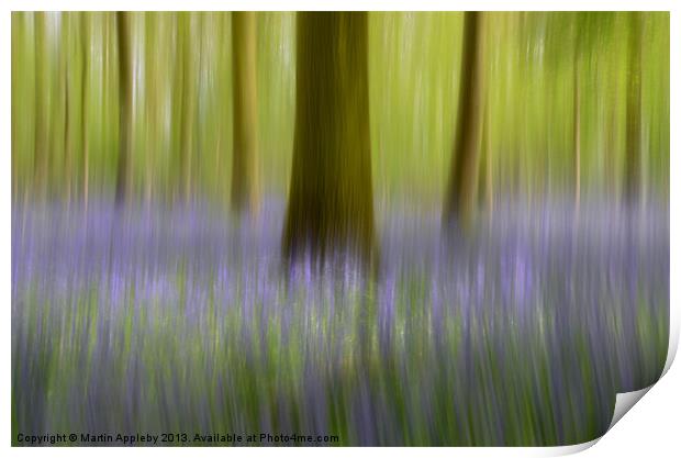 Bluebell Abstract Print by Martin Appleby