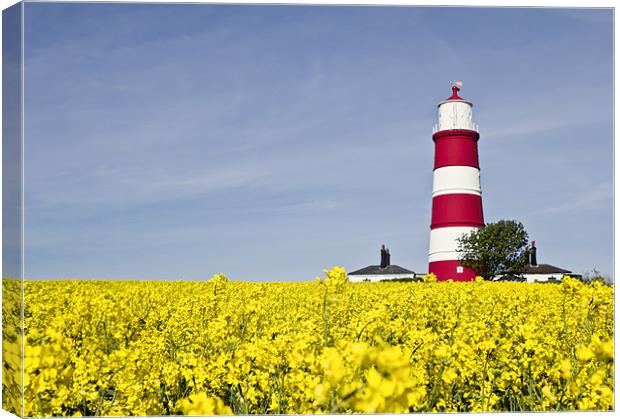 Happisburgh Lighthouse Fields of Gold Canvas Print by Paul Macro
