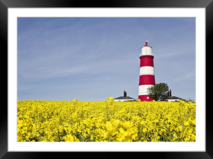 Happisburgh Lighthouse Fields of Gold Framed Mounted Print by Paul Macro