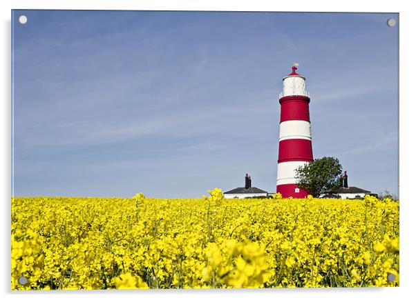 Happisburgh Lighthouse Fields of Gold Acrylic by Paul Macro
