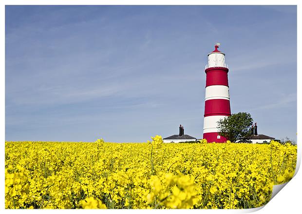 Happisburgh Lighthouse Fields of Gold Print by Paul Macro