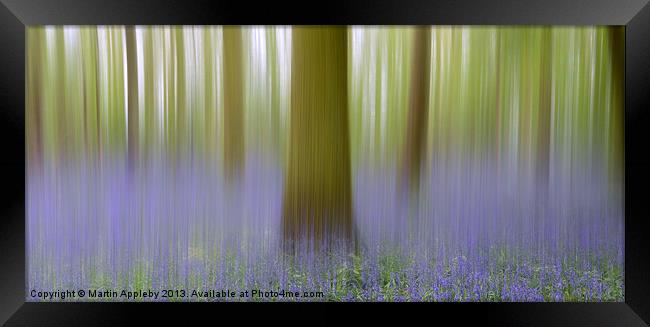 Bluebell Blur Framed Print by Martin Appleby
