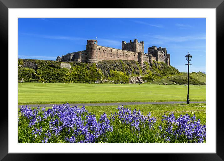 Bamburgh and Bluebells Framed Mounted Print by Northeast Images
