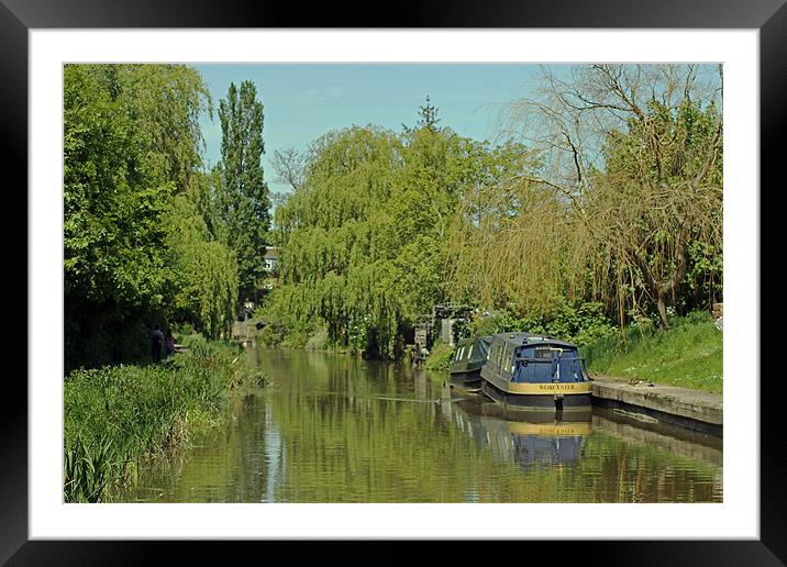 Trees alongside Oxford Canal Framed Mounted Print by Tony Murtagh