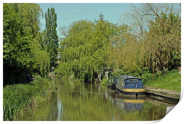 Trees alongside Oxford Canal Print by Tony Murtagh