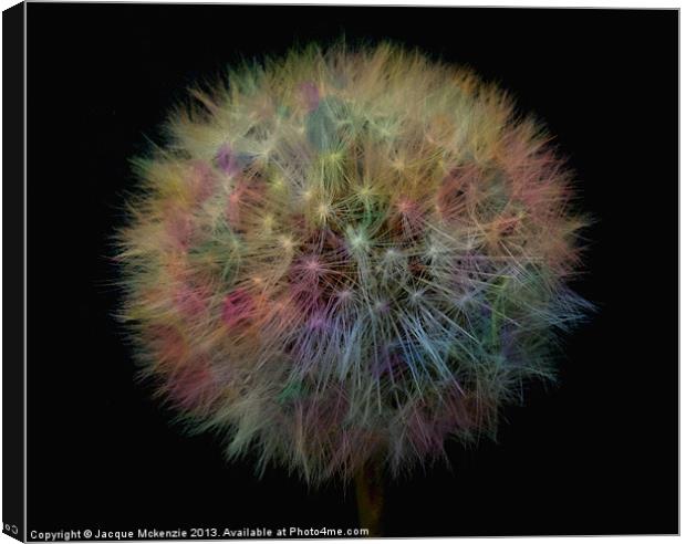 MY PRETTY DANDELION Canvas Print by Jacque Mckenzie