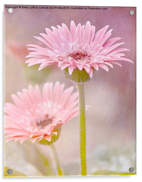 Delightfully Pink Acrylic by Betty LaRue