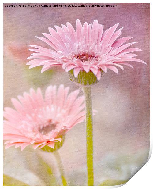 Delightfully Pink Print by Betty LaRue
