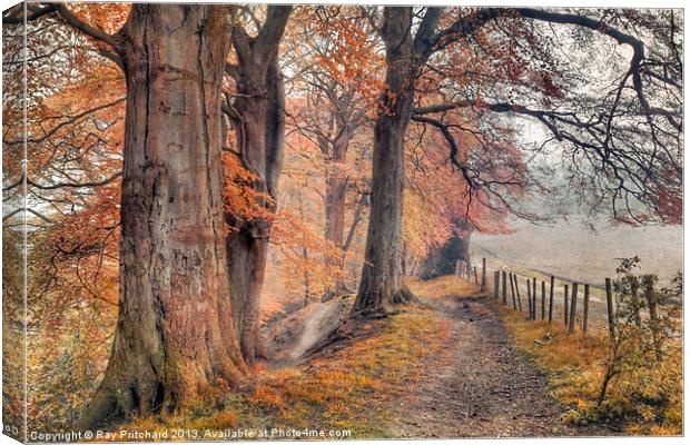 Ousbrough Woods(Textured) Canvas Print by Ray Pritchard
