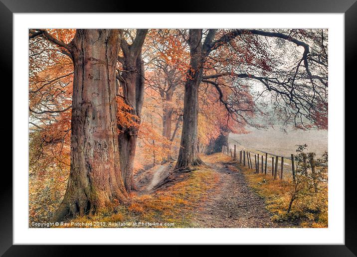 Ousbrough Woods(Textured) Framed Mounted Print by Ray Pritchard